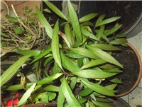 6c311be4-Picture 004.jpg